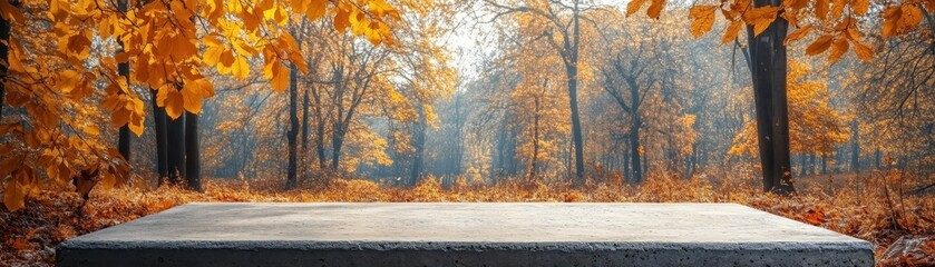 Fototapeta premium Tranquil Autumn Forest with Sunlit Path and Vibrant Foliage Surrounding a Stone Bench in a Serene Natural Setting