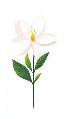 Fototapeta premium White Flower with Green Leaves Illustration