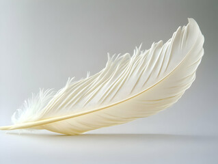 Obraz premium Cream Feather Illustration