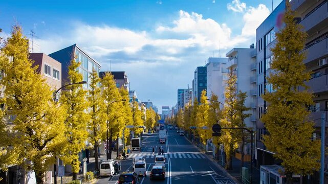 A timelapse of traffic jam at street with yellow gingko trees in Tokyo wide shot