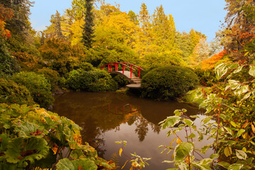 Vibrant fall colors at Kubota Garden in Seattle, WA
