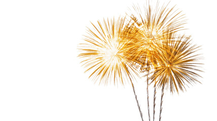 Obraz premium Fireworks transparent background