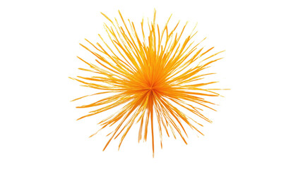 Obraz premium Fireworks transparent background