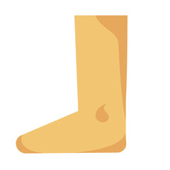 Human Body Parts Anatomy Illustrations