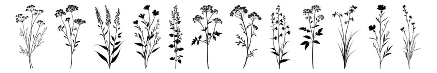 Obraz premium PNG Botanical silhouettes in artistic design set, isolated on transparent background