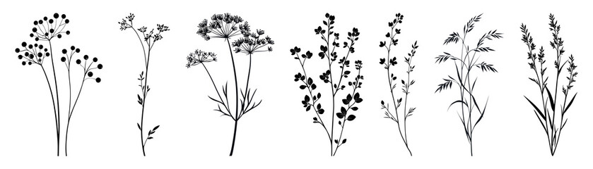 PNG Vintage botanical plant silhouette collection set, isolated on transparent background
