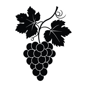 recommend clip art: good quality grapes vine silhouette icon