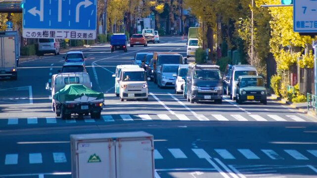 A timelapse of traffic jam at street with yellow gingko trees telephoto shot panning