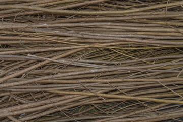 Close-Up of Harvested Jute Stems
