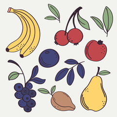 Obraz premium hand drawn fruits