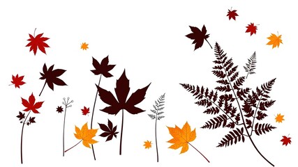 Silhouettes of Maple Leaves and Ferns on Gray Background - Nature's Design