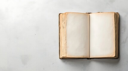 A book is open to a blank page
