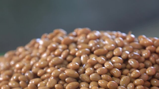 In our country's jang (fermented paste) culture, meju plays a crucial role, and it is made from soybean