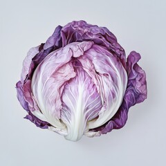 Obraz premium Fresh and Vibrant Purple Cabbage on Neutral Background, Showcasing Its Natural Curves and Textures in High-Quality Close-Up for Culinary and Health Concepts