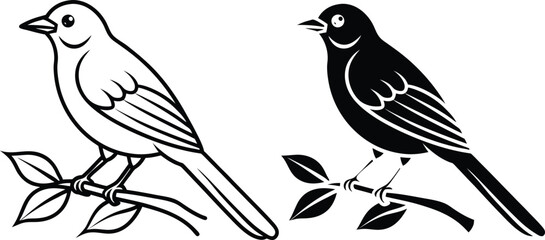 Birds Perched on Branches Line Art, Black and White Illustrations