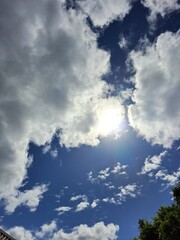 sky A serene landscape featuring a tranquil lake surrounded by lush green trees.