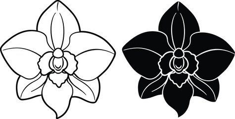 Elegant Orchid Line Art Black and White Floral Designs © Chaya