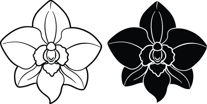 Elegant Orchid Line Art Black and White Floral Designs