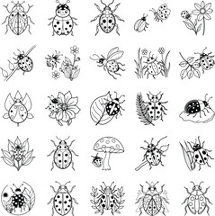 Cute Ladybug Illustrations Insects, Flowers, Nature, Line Art, Design