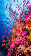 Vibrant Coral Reef with Pink Fish