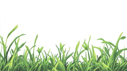 Fototapeta premium Vibrant Green Grass Blades: Lush Meadow Nature Scene