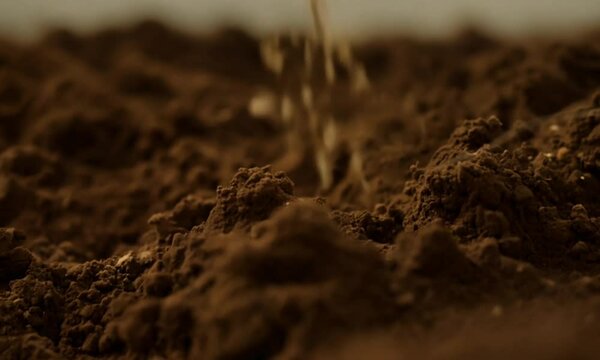 Rich soil texture with organic mulch and decomposed bark in natural garden