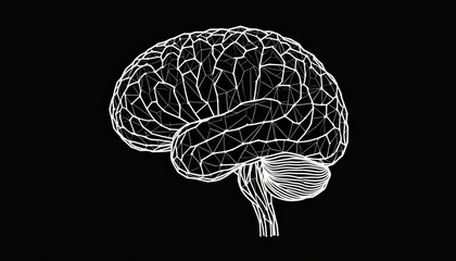 Anatomical Brain Outline with Tech Concept