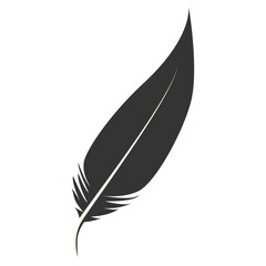Black Silhouette of Majestic Feather. Isolated on White Background. Vector Illustration