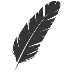 Obraz premium Black Silhouette of Majestic Feather. Isolated on White Background. Vector Illustration