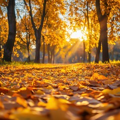 Autumn leaves falling vibrant park scenic nature view sunlit pathway tranquil environment for relaxation