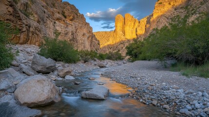 Golden Hour Serenity: A Canyon Stream's Peaceful Reflection