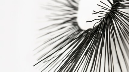 Obraz premium Close-up of iron filings forming intricate circular patterns around a bar magnet. physics, scientific research, laboratory teaching, experimental design, magnetism, magnetic field education