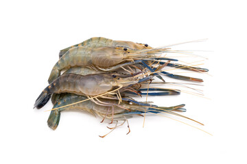 Pile of Female Fresh giant river prawn - Macrobrachium rosenbergii small body with short claws. isolated on white background.