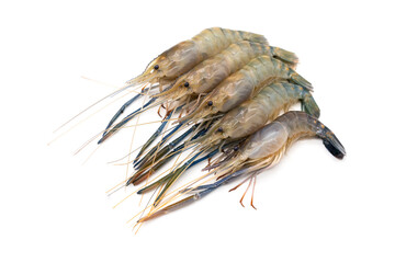 Pile of Female Fresh giant river prawn - Macrobrachium rosenbergii small body with short claws. isolated on white background.