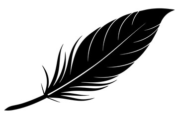 Obraz premium Feather isolated vector silhouette