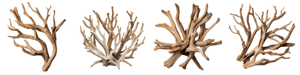 and Sculptural Arrangement of Twisted Weathered Driftwood Twigs and Branches in Minimalist Natural Composition  Organic Earthy Decor and Design Element