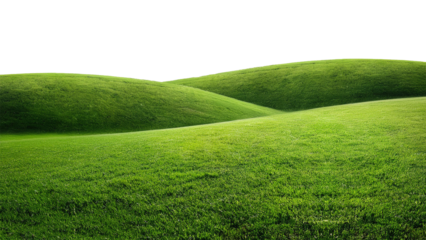 Green grass on the hill isolated on transparent background