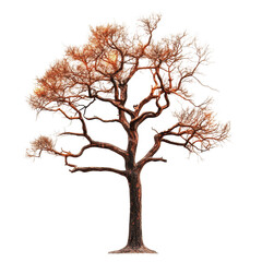 Fototapeta premium A beautiful autumn tree with golden leaves. transparent background