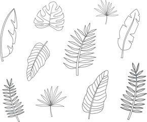 Tropical Leave Outline Vector