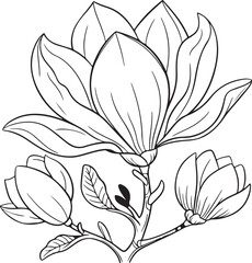 line art drawing of magnolia flower silhouette design vector art illustration.