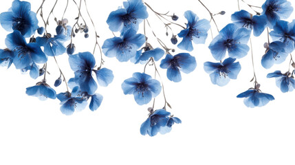 Hanging flowers transparent background
