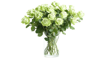 Roses in glass vase transparent background
