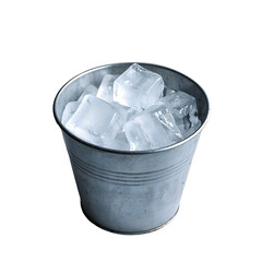 Metal Bucket Filled