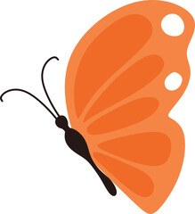 Butterfly Illustration