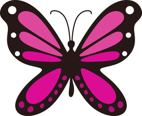 Butterfly Illustration