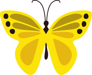 Butterfly Illustration