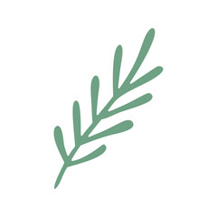 Abstract Organic Shape