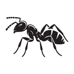 Ant isolated on white