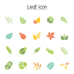 Leaf icon set in thin line style