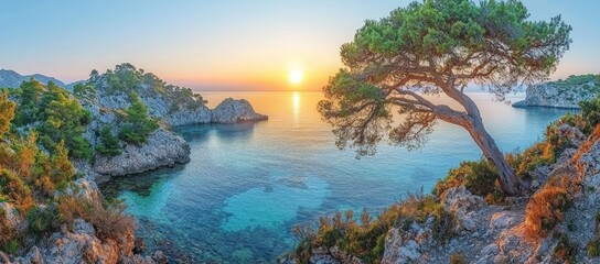 Sunrise over a tranquil turquoise cove, dramatic tree silhouette against the sun, rocky coastline and lush greenery.